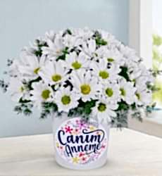 Canım Anneme Temalı Vazoda Papatyalar Canım anneme temalı seramik vazo içerisinde beyaz papatya ve yeşillikler ile hazırlanmıştır.