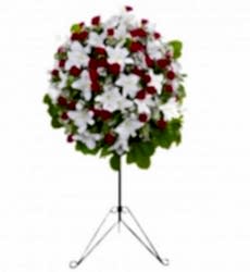 Beyaz lilyum ve kırmızı güller ile hazırlanmış açılış, düğün, nişan ve nikah çiçeği.