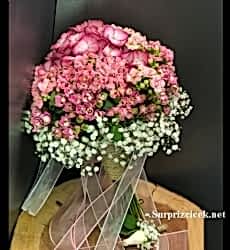 Ortanca Kalanşo Gelin Çiçeği