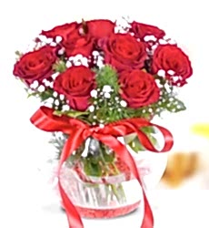  9 Kırmızı Gül Akvaryumu Fanus cam vazo içerisinde kırmızı gül, cipsofilya ve yeşillikler ile hazırlanmıştır.