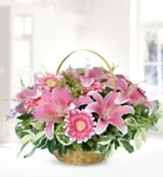 Pembe Lilyum ve Gerbera Sepet içerisinde pembe lilyum ve pembe gerbera ile hazırlanmıştır.