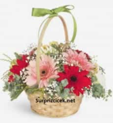 Renkli Çiçek Sepeti