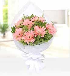 Pembe Gerbera Buketi Pembe gerbera, cipsofilya ve çeşitli yeşilliklerle hazırlanmış şık el buketi.