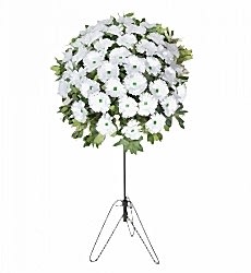 Beyaz yapay gerberalar ile hazırlanmış açılış, düğün, nişan ve nikah çiçeği.