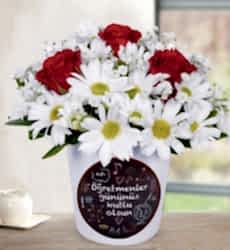 Öğretmenler Günü Temalı Papatyalar