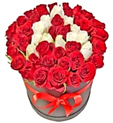 30 Gülden Kutuda Harf