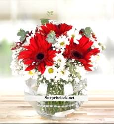 Mevsim Çiçeği Papatyalar