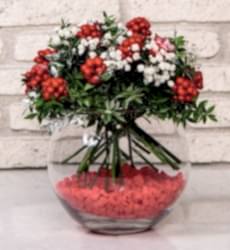 Akvaryum Vazoda Kokina Çiçeği