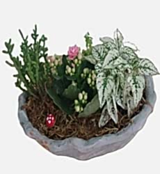 Kayık Taş Saksıda