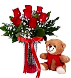 Sevimli Ayıcık ve Kırmızı Güller