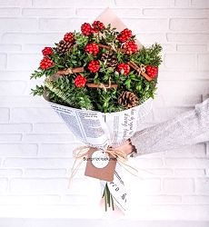 Kokina Yılbaşı Çiçeği