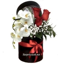Kutuda Gül ve Beyaz Orkide