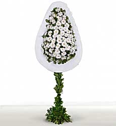 Beyaz gerbera ile hazırlanmış tek katlı açılış ve düğün çelenkleri.