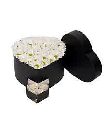 Beyaz Papatyalar Makaronlar