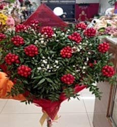 Kokina Buketi Gemlik