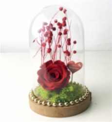 Seni Seviyorum Solmayan Gül