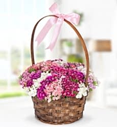 Hüsnüyusuf Çiçeği Sepeti Sepet içinde renkli hüsnüyusuf çiçekleri ile hazırlanmıştır.