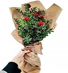 Kokina Yılbaşı Buketi