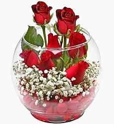 Akvaryum Vazoda 7 Gül