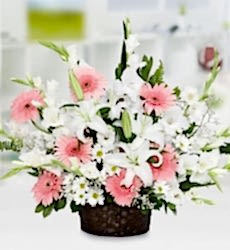 Gerbera ve Papatya Sepeti