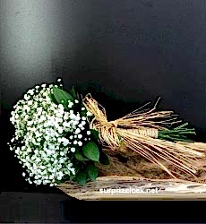 Cİpso Gelin El Demeti