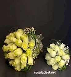 Canlı Gelin Çiçeği & Atmalık Çiçek