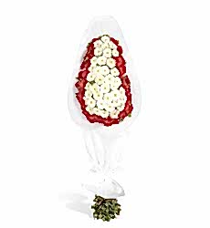 Kırmızı Beyaz Gerbera Tebrik Çelengi