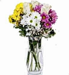 Vazoda Renkli Papatyalar ve Beyaz Güller