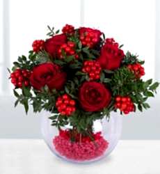 Kırmızı Güller ve Kokina Yılbaşı Çiçeği