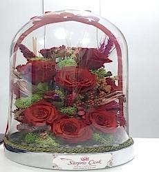 Red Rose Solmayan Gül Aranjman