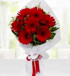 Kırmızı Gerbera Buketi 7 Adet kırmızı gerberalar ile hazırlanmış el buketi.