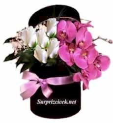 Kutuda Orkide ve Güller