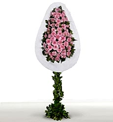 Pembe gerbera ile hazırlanmış açılış ve düğün çelengi.