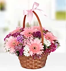 Hüsnüyusuf ve Gerbera Sepeti Sepet içinde pembe gerbera, renkli hüsnüyusuf çiçekleri ve yeşillikler ile hazırlanmıştır.