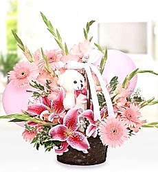 Kız Bebek için Çiçek Sepeti