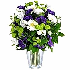 Gerbera ve Lisianthus