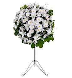 Beyaz lilyum ve beyaz gerbera ile hazırlanmış açılış, düğün, nişan ve nikah çiçeği.