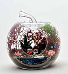 Elma Orta Birlikte Yaşlanalım 3