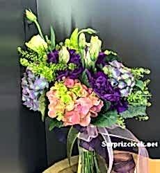 Ortancalı Gelin Çiçeği Canlı