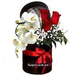 Kutuda Gül ve Beyaz Orkide 