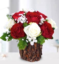 Doğal Kütükte Aşkın Simgesi Kırmızı Beyaz Gül Aranjmanı
