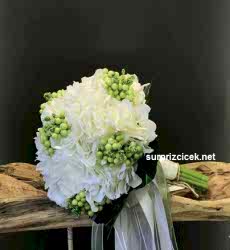 Beyaz &Yeşil Gelin Çiçeği 
