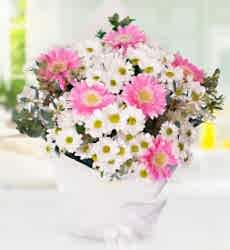 Papatya ve Gerbera Buketi Beyaz papatya ve pembe gerbera ile hazırlanmış zarif el buketi.