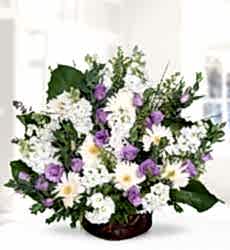 Gerbera Şebboy Lisyantüs Sepet içerisinde beyaz gerbera, beyaz şebboy, mor lisyantus ve yeşillikler ile hazırlanmıştır.