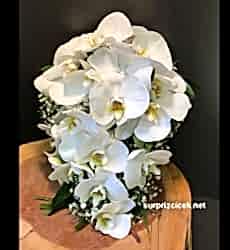 Canlı Orkideli Gelin Buketi
