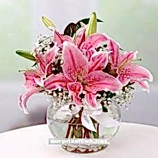 Mis Kokulu Pembe Lilyumlar