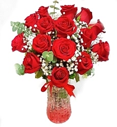 Vazoda 20 Kırmızı Gül