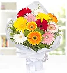 Renkli Gerbera Buketi