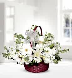 Lilyum Gerbera Şebboy Sepet içerisinde kokulu beyaz lilyum, beyaz gerbera ve beyaz şebboy ile hazırlanmıştır