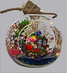 Elma Orta Saklı Göl Ledli Teraryum